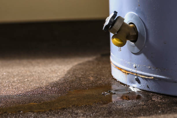 Best 24/7 water damage repair  in Beloit, OH