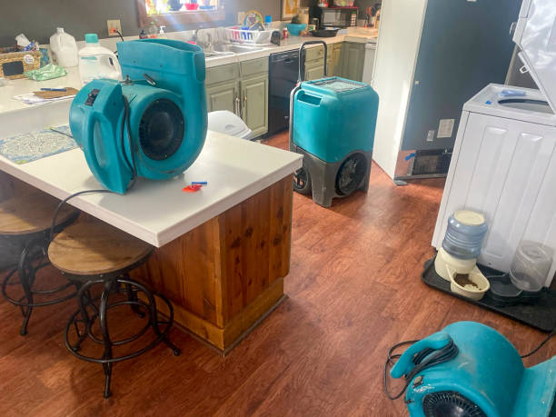 Best Flooded house restoration  in Beloit, OH