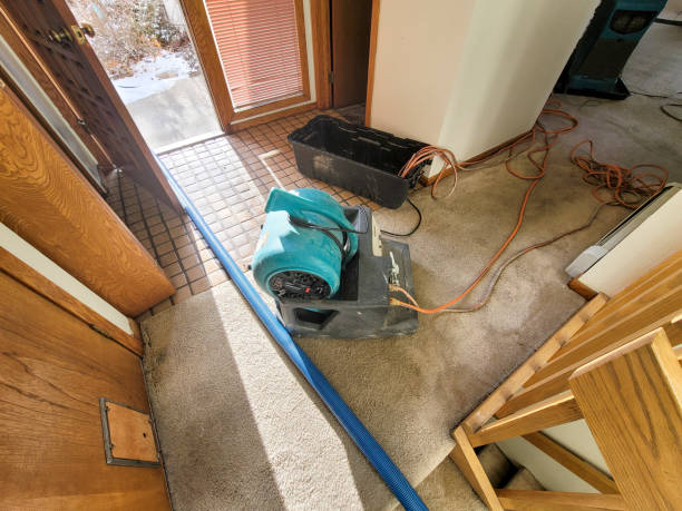 Best Sewage cleanup and water damage restoration  in Beloit, OH
