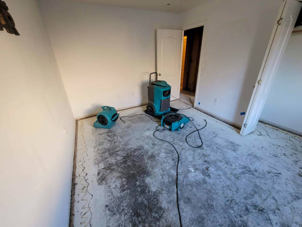 Best Professional water damage repair  in Beloit, OH