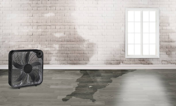 Best Residential water damage restoration  in Beloit, OH