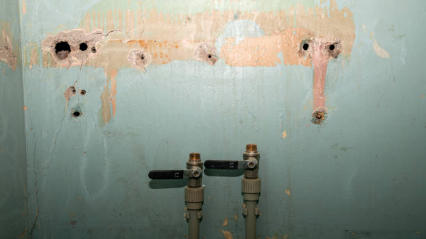  Beloit, OH Water damage restoration Pros