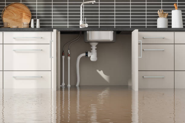 Best Water damage cleanup near me  in Beloit, OH