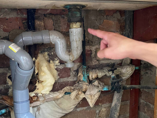 Best Basement water damage restoration  in Beloit, OH
