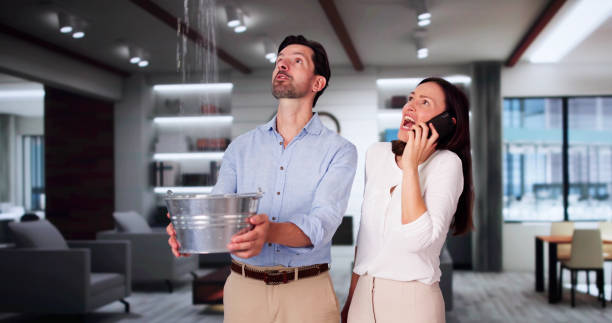 Best Carpet water damage restoration  in Beloit, OH